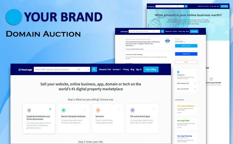 Domain Auction