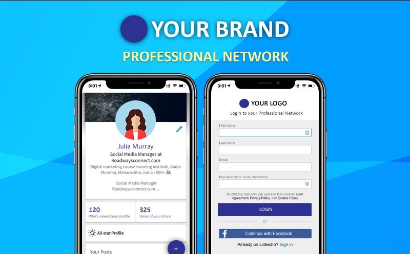 Professional Network