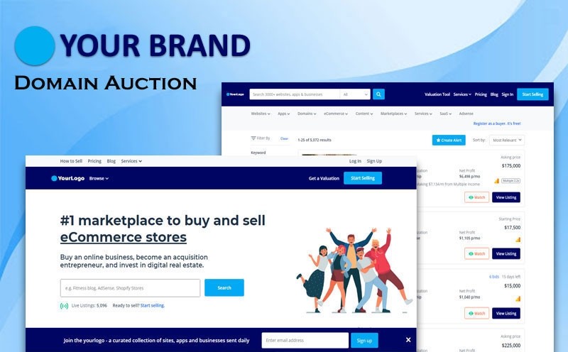 Domain Auction