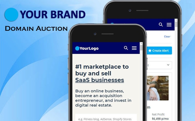 Domain Auction